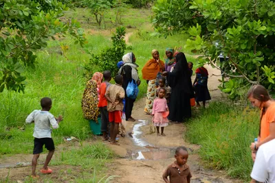 DSC_9589 (Large).JPG